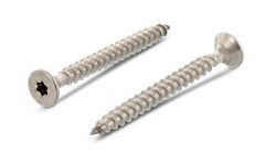 Spaanderplaatschroef 3,0 x 20 torx TX10 inox A2 (1/500)